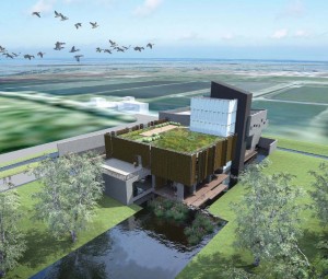 打水漂 / Stone skipping