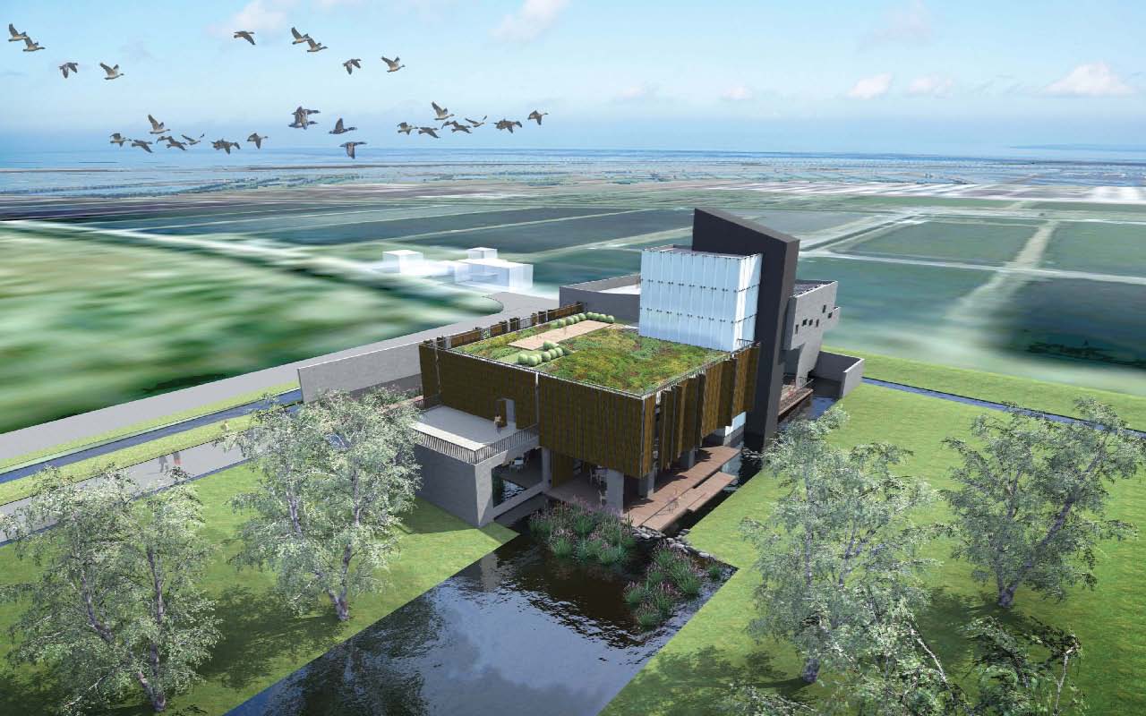 打水漂 / Stone skipping